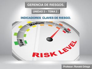 Indicadores De Riesgos