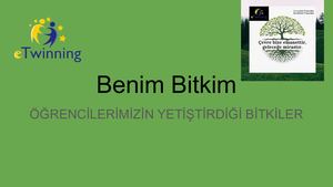 Benim Bitkim (1)