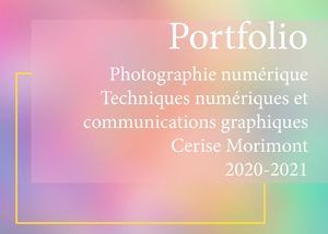 Cerise Morimont Unité C Book