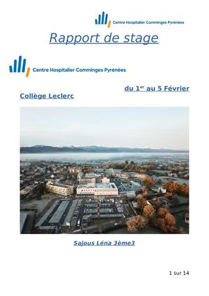 Rapport De Stage