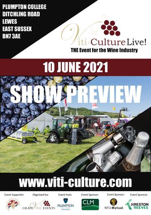 Viti Culture Show Preview