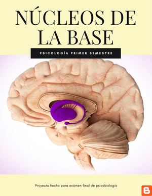 Calaméo - Núcleos de la base