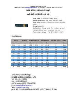 Baili Hose Specifications R1 1sn