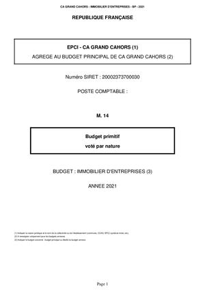 Bp 2021 Immobilier D Entreprises