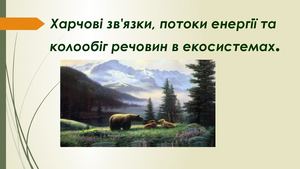 Харчові зв'язки, потоки енергії та колообіг речовин в екосистемах