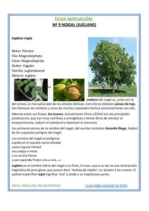 09 Nogal Ampliación