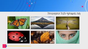 ‏‏סימטריה סיבובית ושיקופית עותק