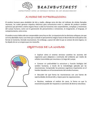 Unidad 1 Fisiologia Del Cerebro