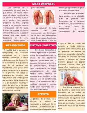 2. Nutrición En La Vejez. Grupo 4. Pdf