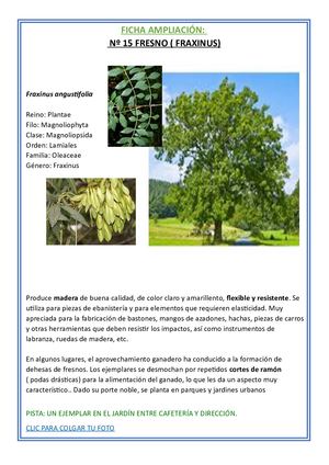 15 Fresno Ampliacion