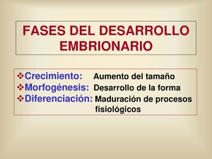 Presentación Desarrollo Embrionario