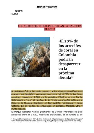 Los Arrecifes Coralinos Sacan La Bandera Blanca