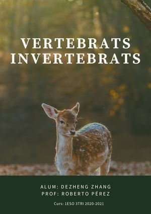 Vertebrats - Invertebrats
