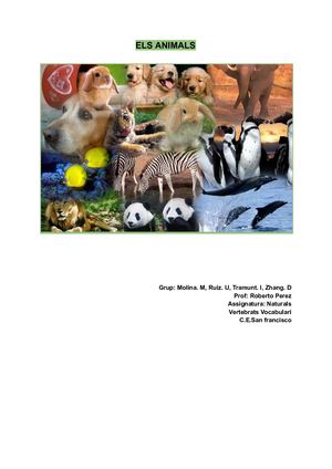 Animals vertebrats-Animals invertebrats