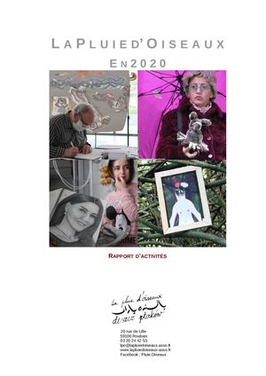 Rapport Activités 2020 avec photos