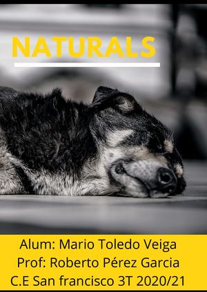 Dossier individual naturals invertebrats i vertebrats- Mario Toledo