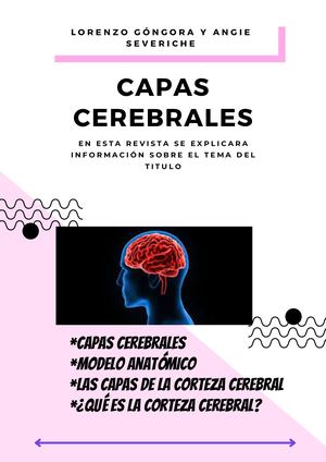 Capas Cerebrales