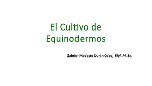 4 El Cultivo De Equinodermos