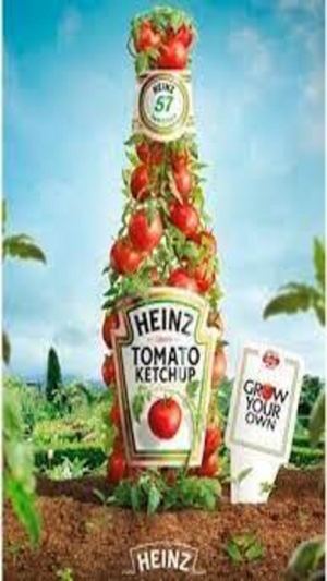 Computacion Anuncios