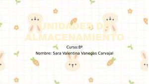 Unidades De Almacenamientox