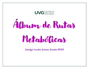Rutas Metabólicas Bioquímica áLbum