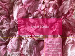 Dina Mahrouz Portfolio Design