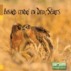 SOS Busards - 20 ans d'actions avec le GODS