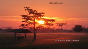 Lizeth Region Orinoquia