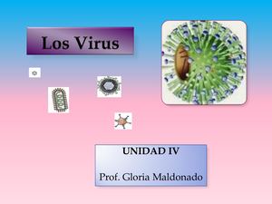 Los Virus ADN
