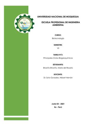 Ciclo Biogeoquimicos Briceño Briceño