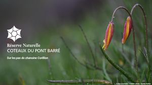 Sur les pas du Chanoine Corillion