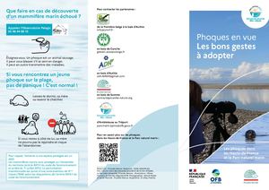 Flyer "Phoques en vue" - Parc naturel marin des estuaires picards et de la mer d'Opale