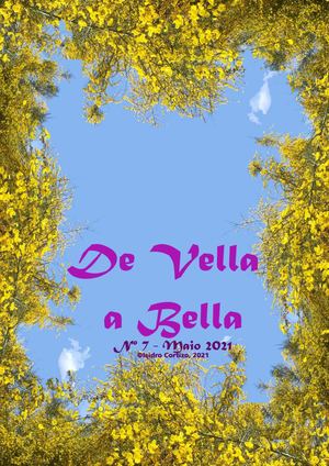 Nº 7 Maio 2021