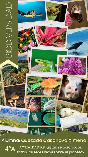 Quezada Casanova Ximena 4 A Catálogo De La Biodiversidad
