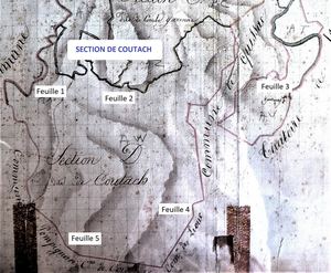 Section D Coutach 7 P