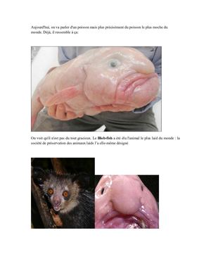 quel est l'animal le plus moche du monde ?