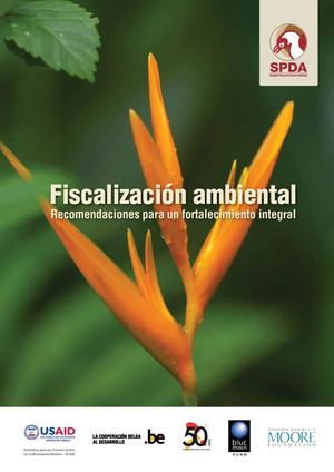Fiscalizacion Ambiental
