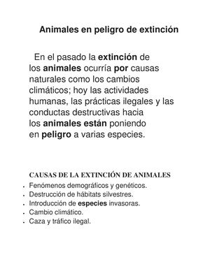 Animales En Peligro De Extinción