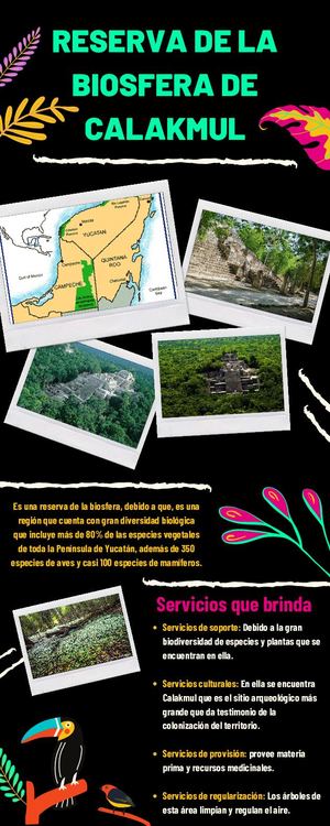 Beneficios De Las Áreas Verdes Ilustrativo Con Fondo Verde Turquesa Infografía