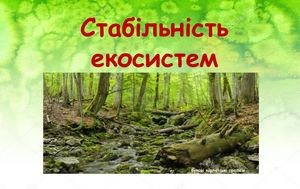 Стабільнісь екосистем