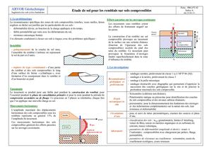 369696893 Probl C3 A9matiques 20remblais 20sols 20compressibles 20du 2023 01 11 Pdf