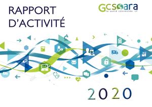 Rapport d'activité Gcs Sara 2020