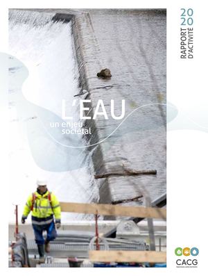 Rapport d'Activités 2020