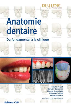 Extrait Anatomie Dentaire - 120621