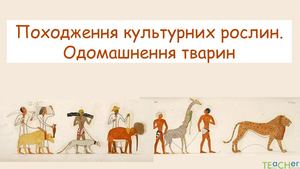 Центри походження культурних рослин