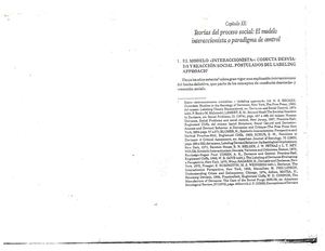 Teorías Del Proceso Social Modelo Interaccionista O Paradigma De Control