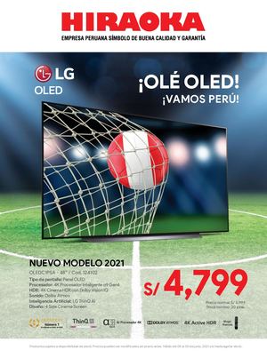 Catalogo Hiraoka C06-21