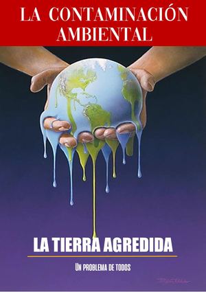 Revista Contaminacion Ambiental