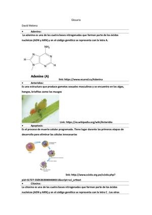 Glosario de Biologia