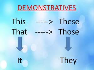 6th Demostratives